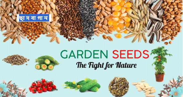 Why Garden Seeds